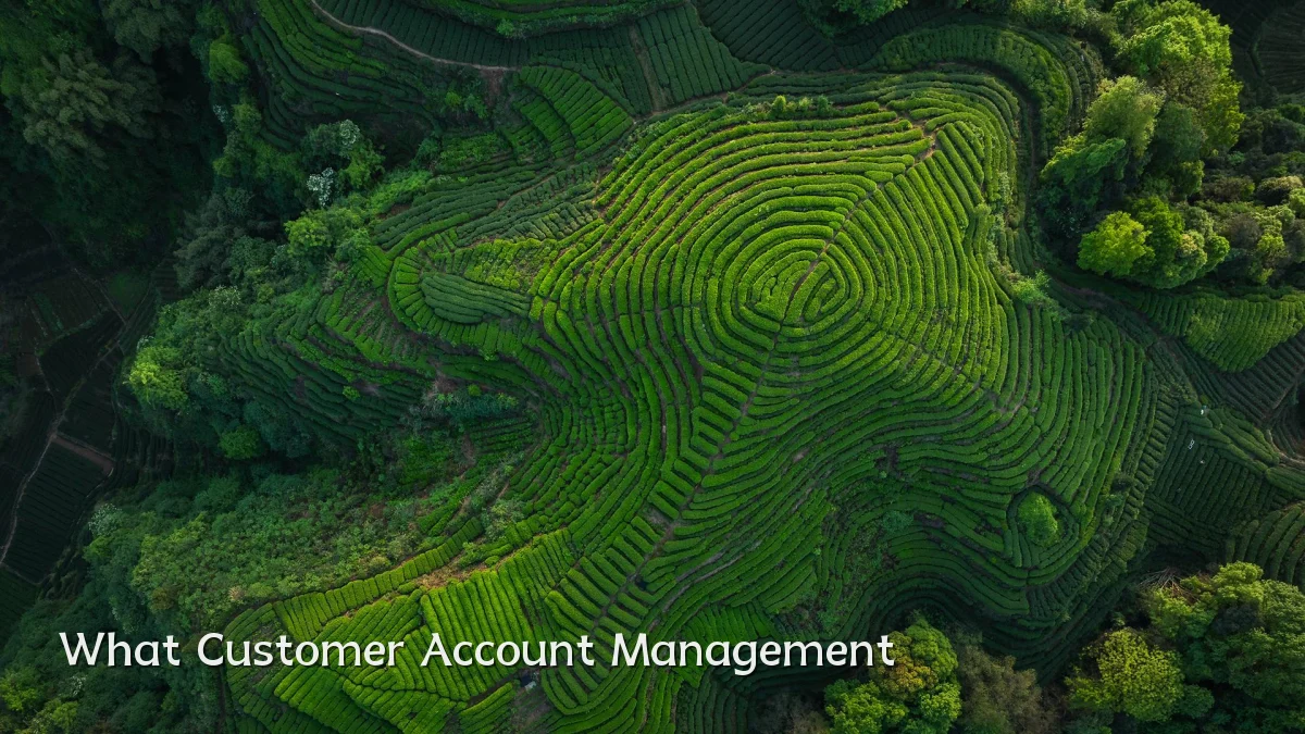 What Customer Account Management