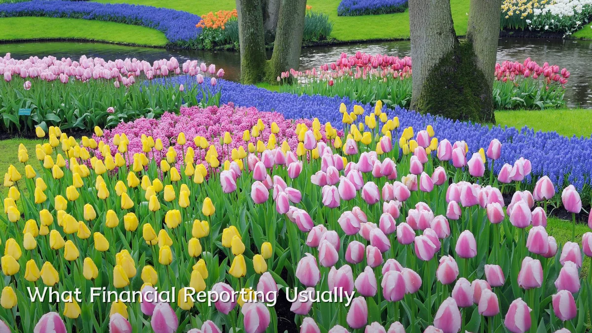 What Financial Reporting Usually