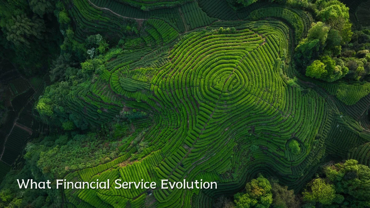 What Financial Service Evolution