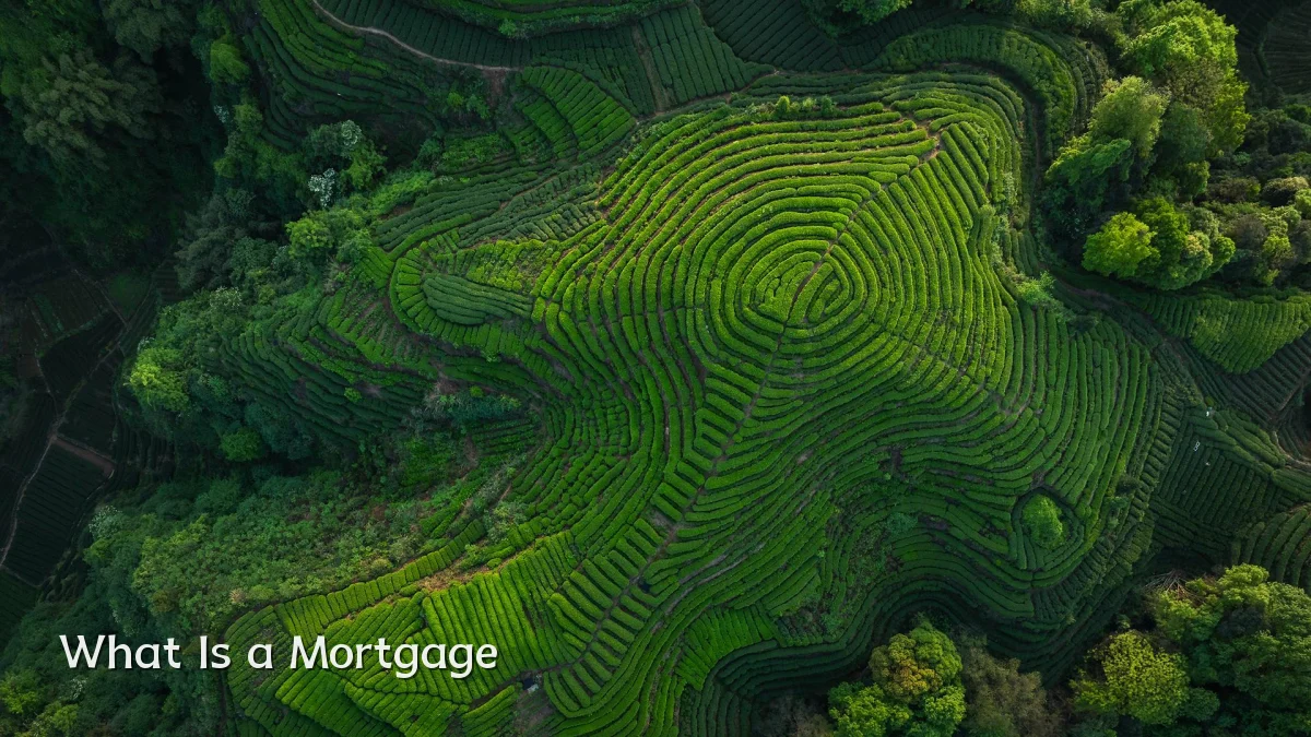 What Is a Mortgage