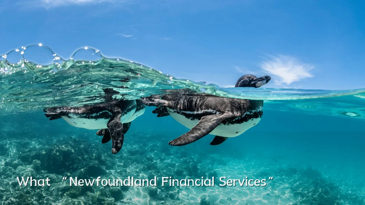 What “Newfoundland Financial Services”