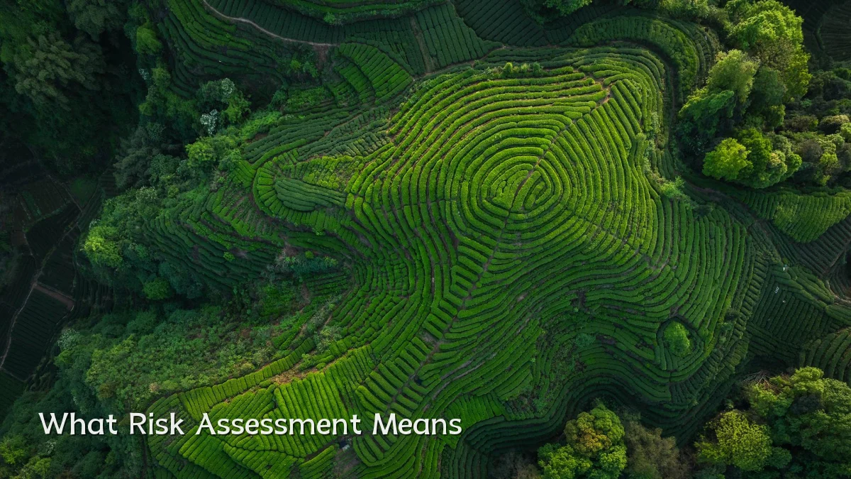 What Risk Assessment Means