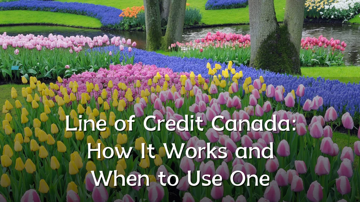 Line of Credit Canada: How It Works and When to Use One