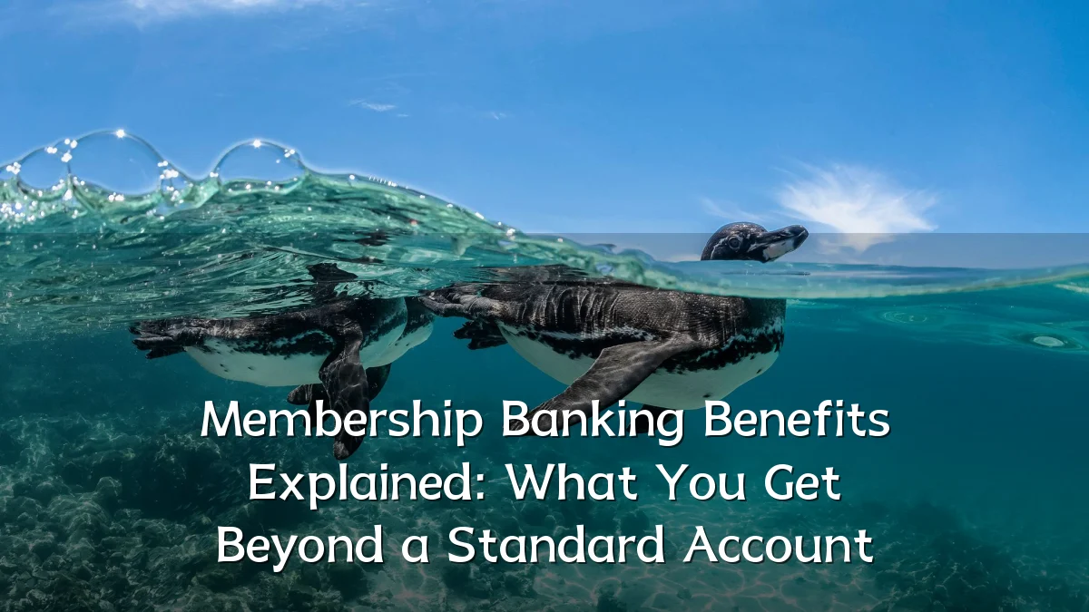 Membership Banking Benefits Explained: What You Get Beyond a Standard Account