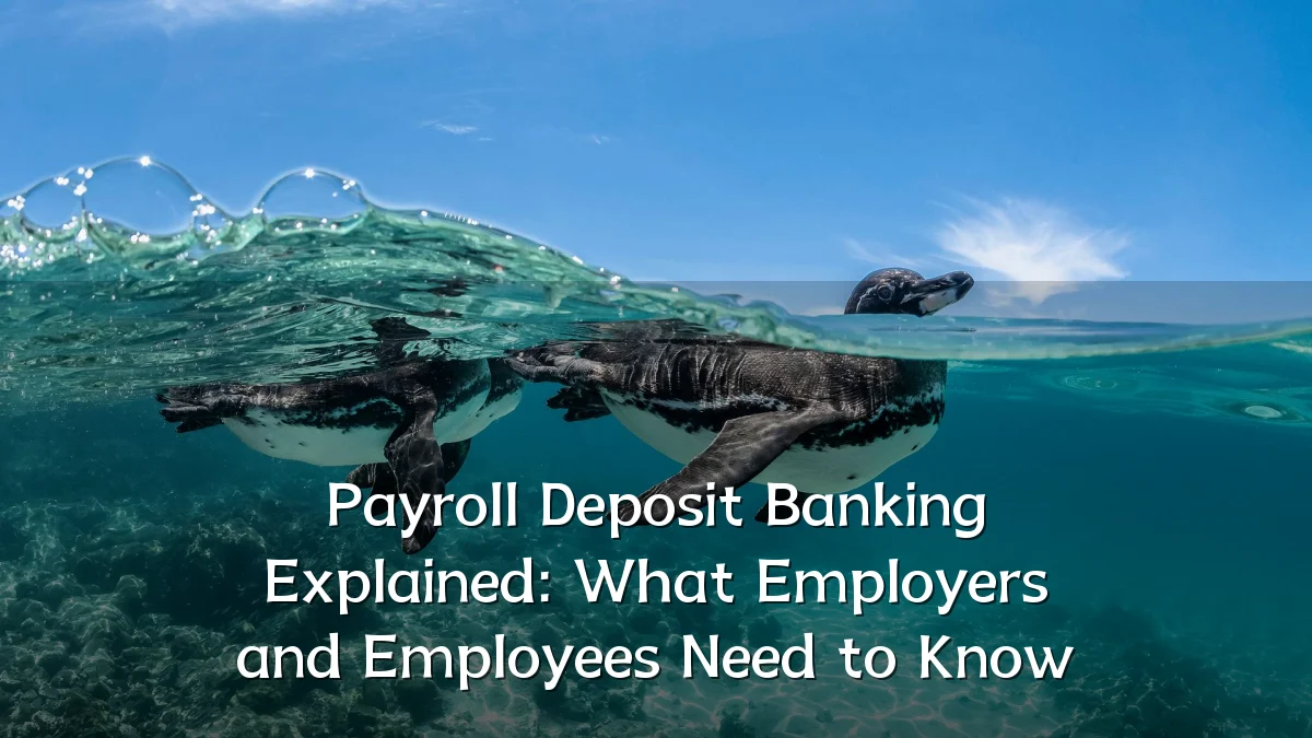 Payroll Deposit Banking Explained: What Employers and Employees Need to Know