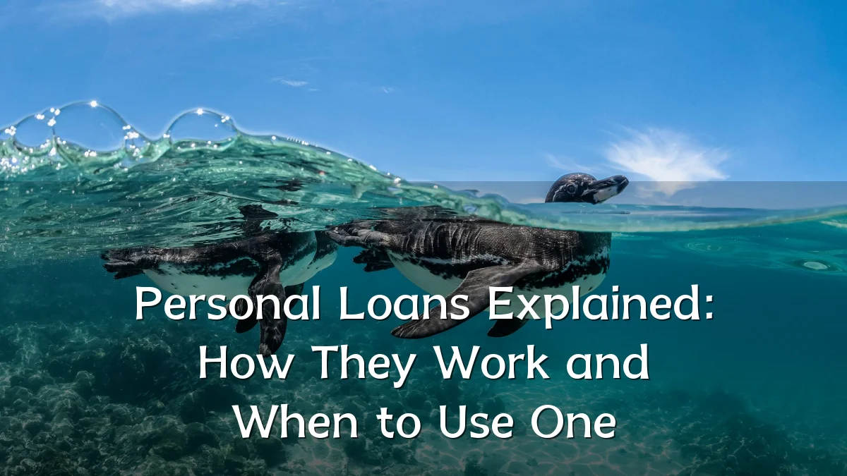 Personal Loans Explained: How They Work and When to Use One