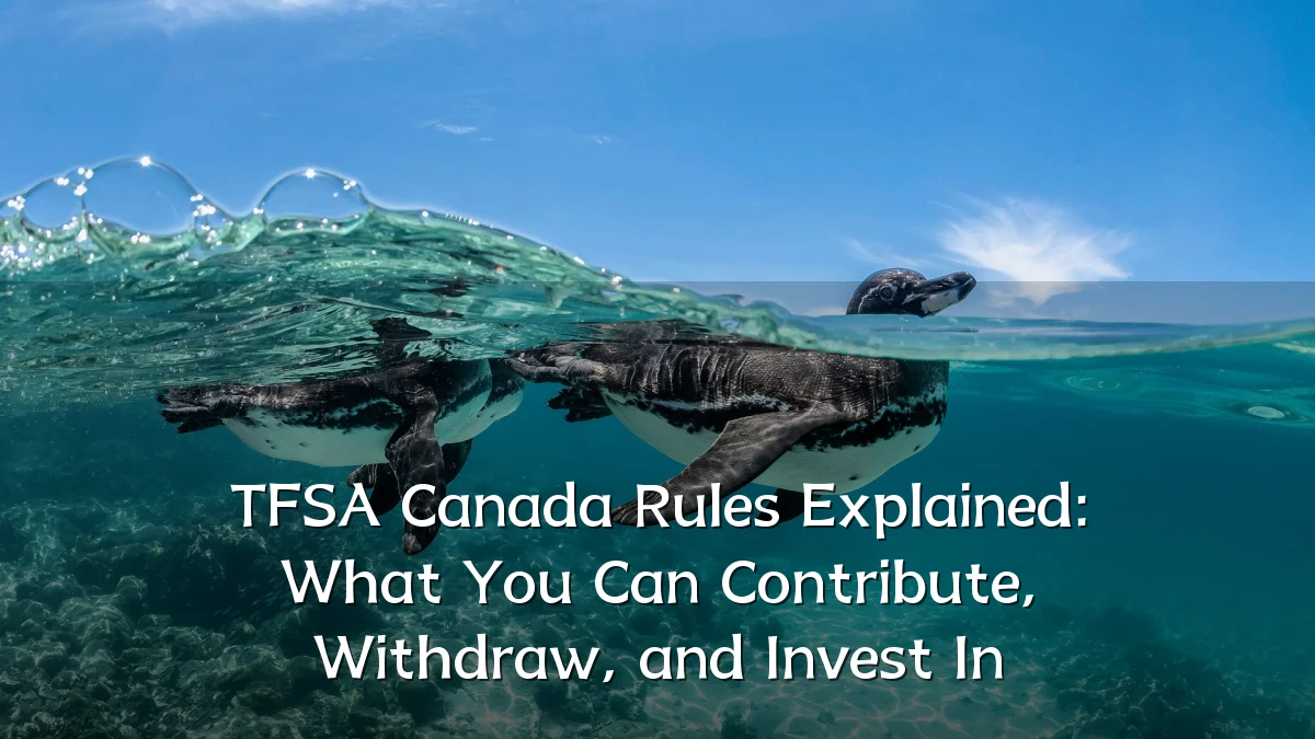 TFSA Canada Rules Explained: What You Can Contribute, Withdraw, and Invest In