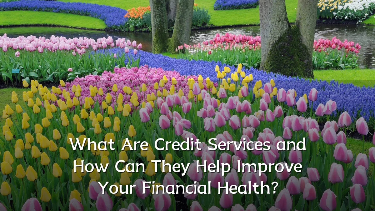 What Are Credit Services and How Can They Help Improve Your Financial Health?