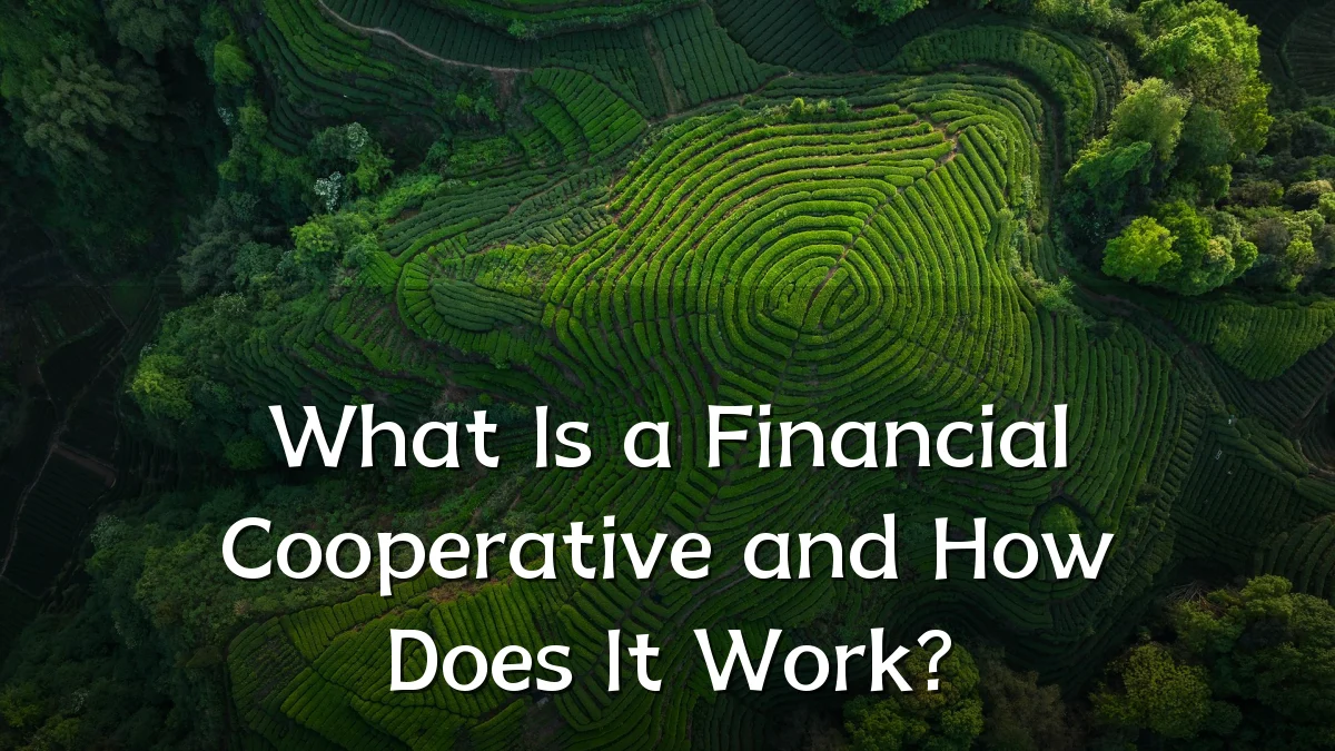 What Is a Financial Cooperative and How Does It Work?
