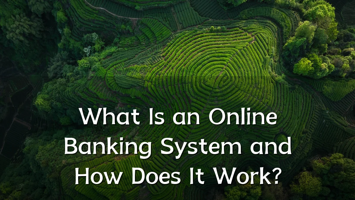 What Is an Online Banking System and How Does It Work?