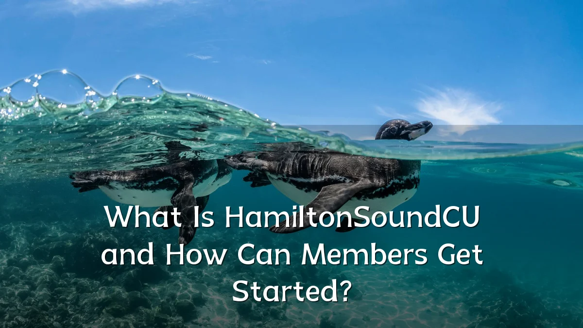 What Is HamiltonSoundCU and How Can Members Get Started?