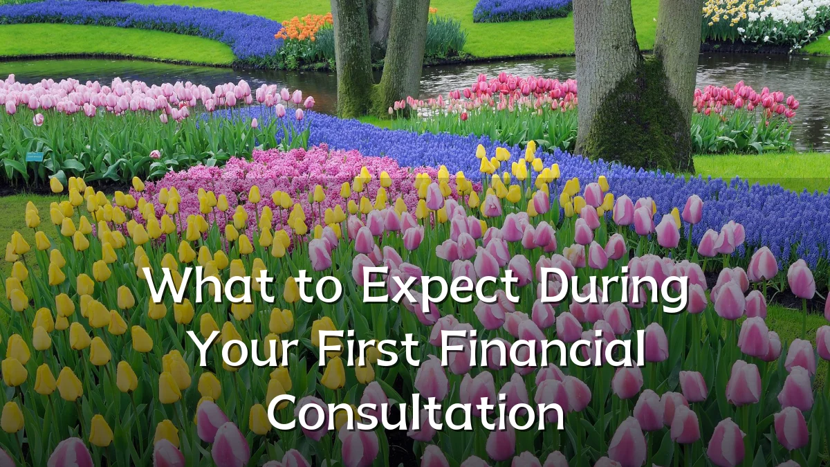 What to Expect During Your First Financial Consultation