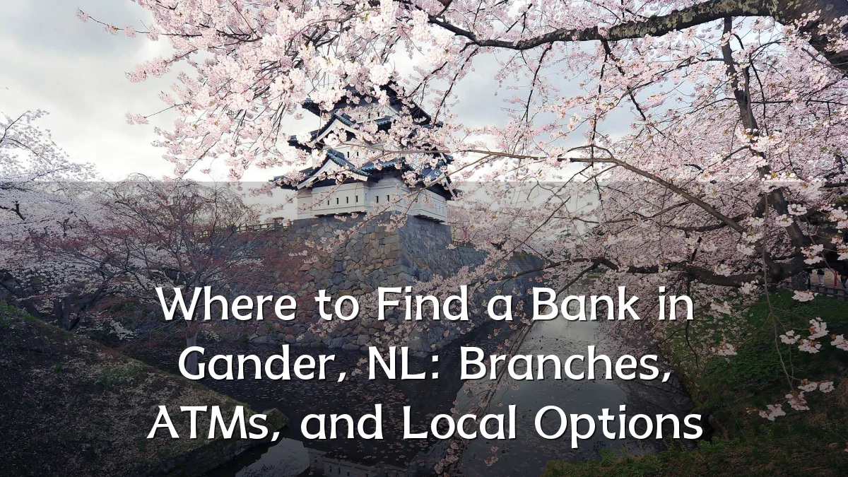 Where to Find a Bank in Gander, NL: Branches, ATMs, and Local Options