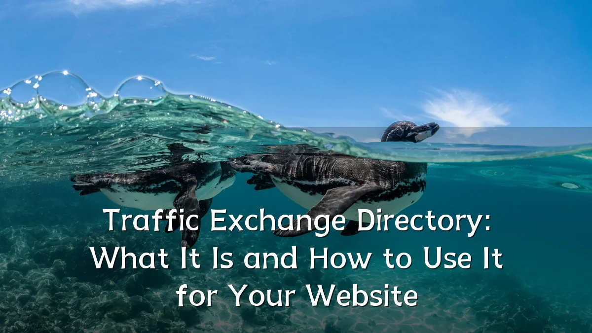 Traffic Exchange Directory: What It Is and How to Use It for Your Website